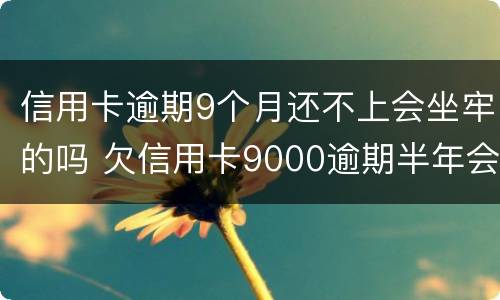 信用卡逾期9个月还不上会坐牢的吗 欠信用卡9000逾期半年会坐牢吗