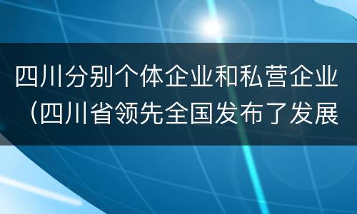 四川分别个体企业和私营企业（四川省领先全国发布了发展私营经济）