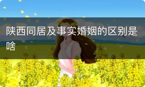 陕西同居及事实婚姻的区别是啥