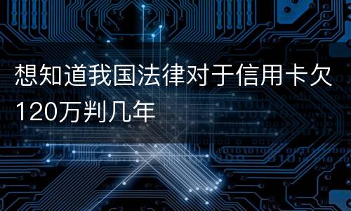 想知道我国法律对于信用卡欠120万判几年