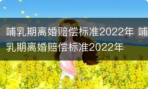 哺乳期离婚赔偿标准2022年 哺乳期离婚赔偿标准2022年