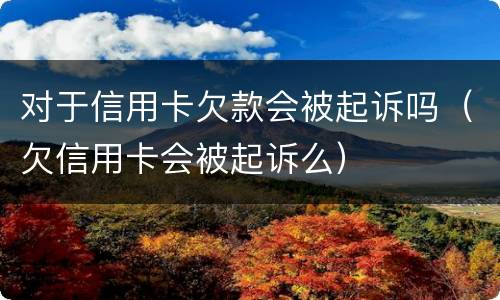 对于信用卡欠款会被起诉吗（欠信用卡会被起诉么）