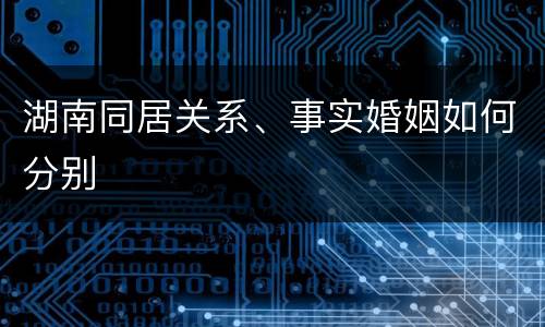 湖南同居关系、事实婚姻如何分别