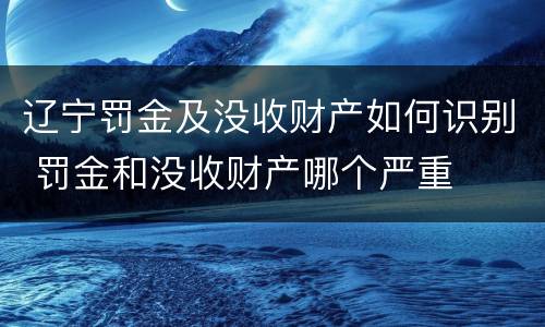 辽宁罚金及没收财产如何识别 罚金和没收财产哪个严重