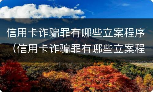 信用卡诈骗罪有哪些立案程序（信用卡诈骗罪有哪些立案程序呢）