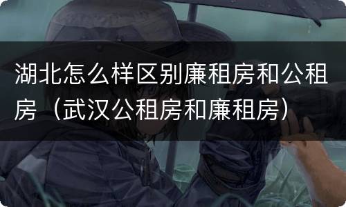 湖北怎么样区别廉租房和公租房（武汉公租房和廉租房）