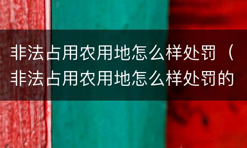 非法占用农用地怎么样处罚（非法占用农用地怎么样处罚的）