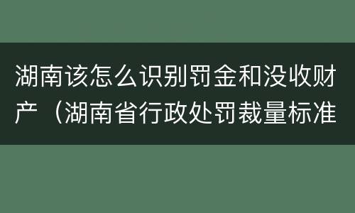 湖南该怎么识别罚金和没收财产（湖南省行政处罚裁量标准）