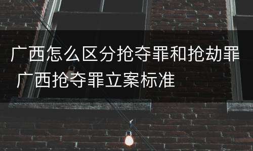 广西怎么区分抢夺罪和抢劫罪 广西抢夺罪立案标准