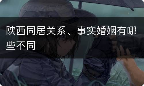 陕西同居关系、事实婚姻有哪些不同