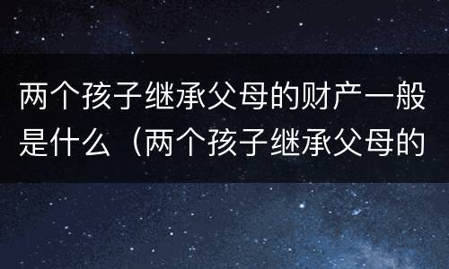 两个孩子继承父母的财产一般是什么（两个孩子继承父母的财产一般是什么意思）