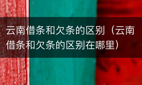 云南借条和欠条的区别（云南借条和欠条的区别在哪里）