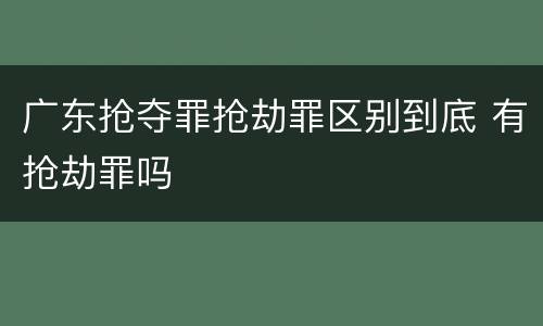 广东抢夺罪抢劫罪区别到底 有抢劫罪吗