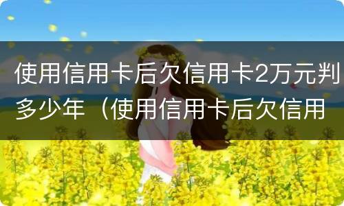 使用信用卡后欠信用卡2万元判多少年（使用信用卡后欠信用卡2万元判多少年）