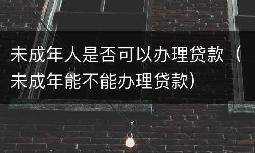 未成年人是否可以办理贷款（未成年能不能办理贷款）