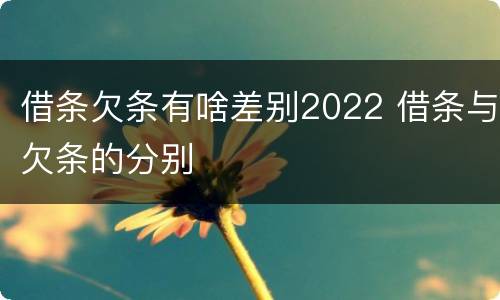 借条欠条有啥差别2022 借条与欠条的分别