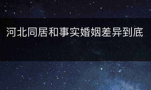 河北同居和事实婚姻差异到底