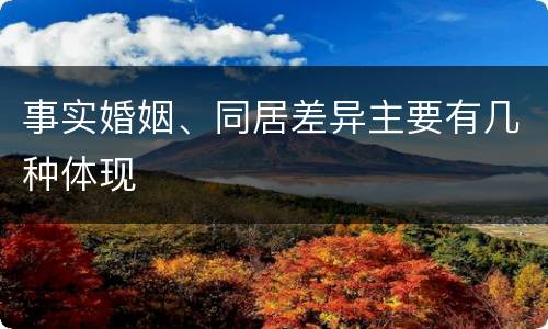 事实婚姻、同居差异主要有几种体现