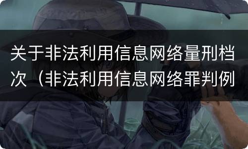 关于非法利用信息网络量刑档次（非法利用信息网络罪判例）