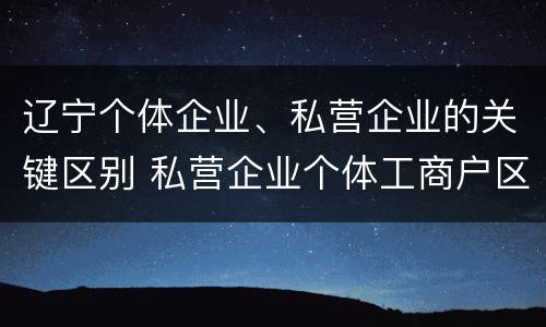 辽宁个体企业、私营企业的关键区别 私营企业个体工商户区别