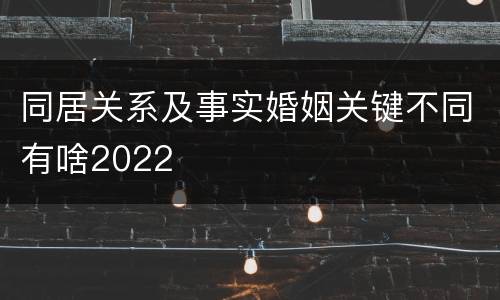 同居关系及事实婚姻关键不同有啥2022