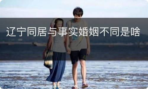 辽宁同居与事实婚姻不同是啥