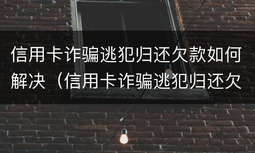 信用卡诈骗逃犯归还欠款如何解决（信用卡诈骗逃犯归还欠款如何解决问题）