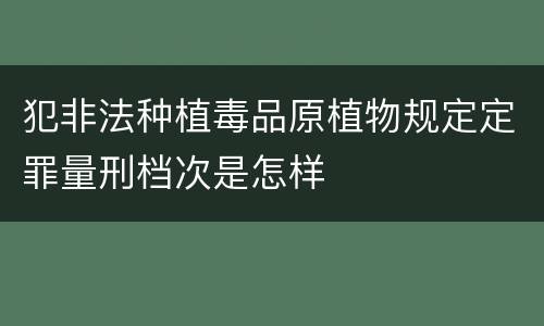 犯非法种植毒品原植物规定定罪量刑档次是怎样