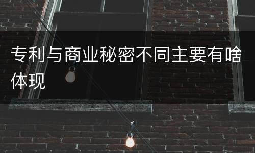 专利与商业秘密不同主要有啥体现