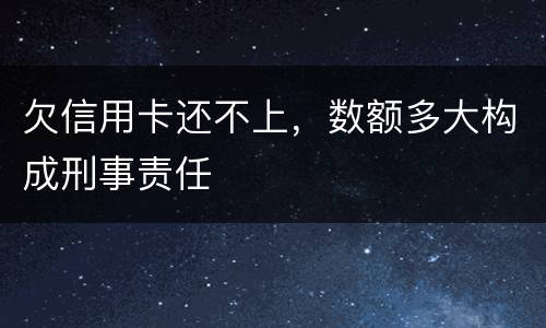 欠信用卡还不上，数额多大构成刑事责任