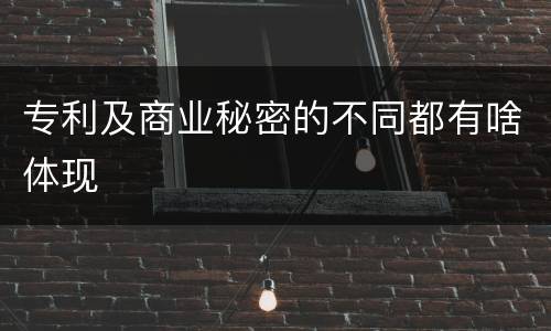 专利及商业秘密的不同都有啥体现