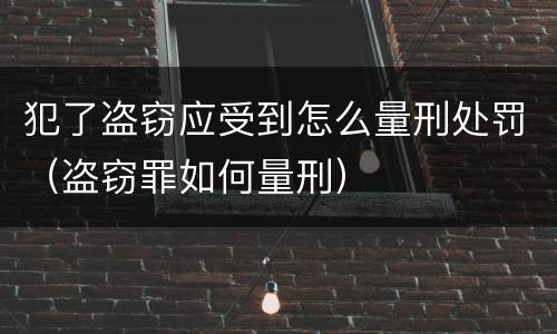 犯了盗窃应受到怎么量刑处罚（盗窃罪如何量刑）