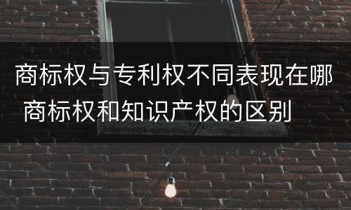 商标权与专利权不同表现在哪 商标权和知识产权的区别