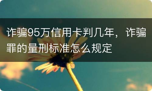 诈骗95万信用卡判几年，诈骗罪的量刑标准怎么规定