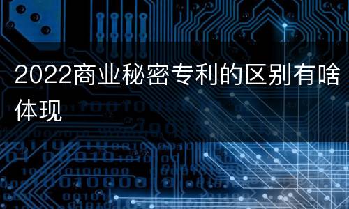 2022商业秘密专利的区别有啥体现