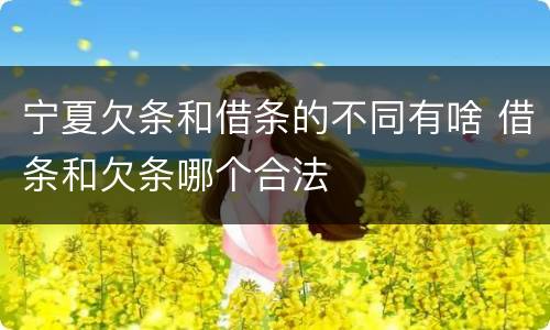 宁夏欠条和借条的不同有啥 借条和欠条哪个合法