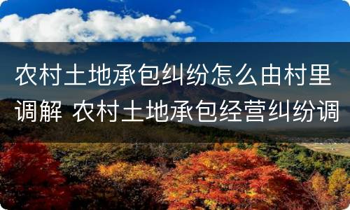 农村土地承包纠纷怎么由村里调解 农村土地承包经营纠纷调处方式有哪些