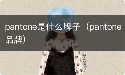 pantone是什么牌子（pantone品牌）