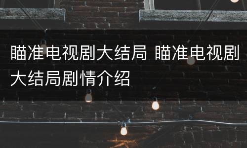 瞄准电视剧大结局 瞄准电视剧大结局剧情介绍