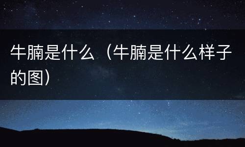 牛腩是什么（牛腩是什么样子的图）