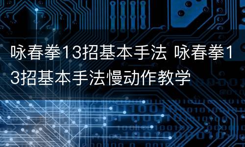 咏春拳13招基本手法 咏春拳13招基本手法慢动作教学