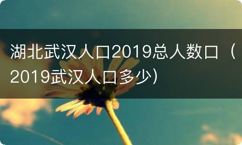 湖北武汉人口2019总人数口（2019武汉人口多少）