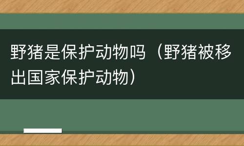 野猪是保护动物吗（野猪被移出国家保护动物）