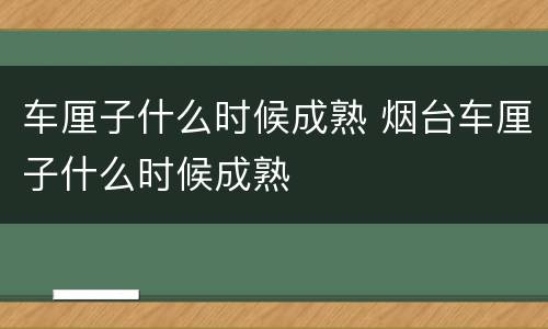 车厘子什么时候成熟 烟台车厘子什么时候成熟