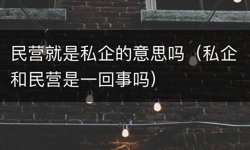 民营就是私企的意思吗（私企和民营是一回事吗）