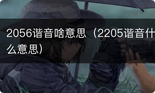 2056谐音啥意思（2205谐音什么意思）