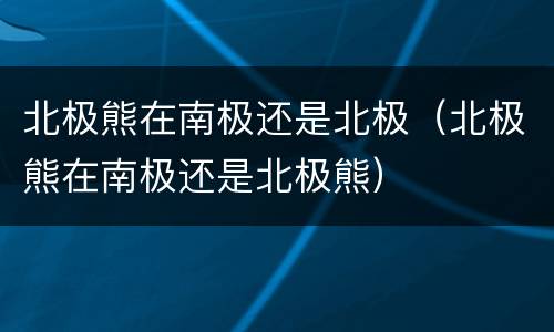 北极熊在南极还是北极（北极熊在南极还是北极熊）