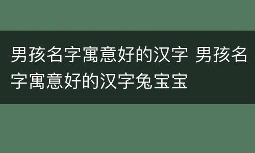 男孩名字寓意好的汉字 男孩名字寓意好的汉字兔宝宝