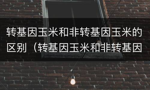 转基因玉米和非转基因玉米的区别（转基因玉米和非转基因玉米的区别的特征）