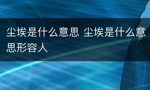 尘埃是什么意思 尘埃是什么意思形容人